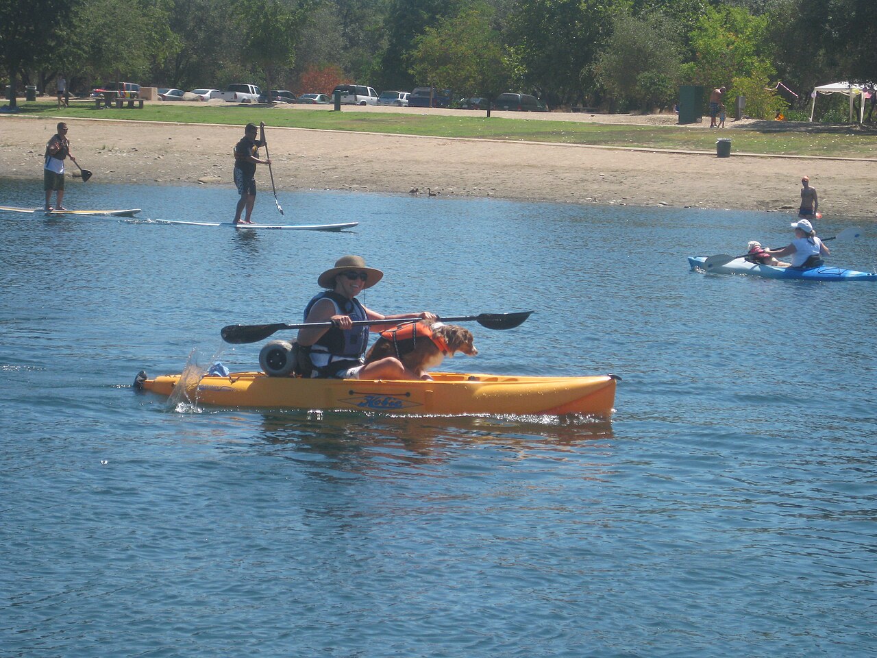 Lake Natoma — Kayak on Lake Natoma.